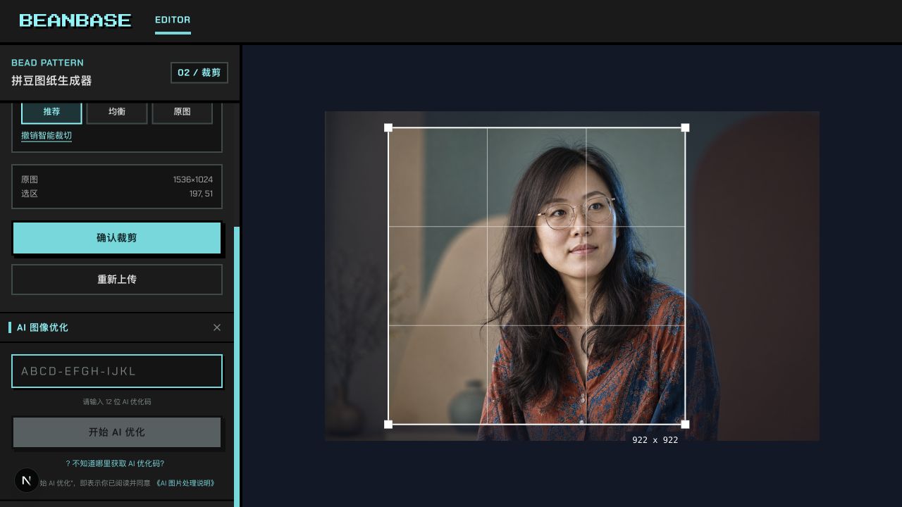 等待输入优化码的 AI 面板